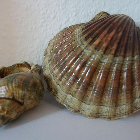 Ferienwohnung Kiel Eksteriør billede